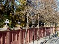 DSC08513 - Copy